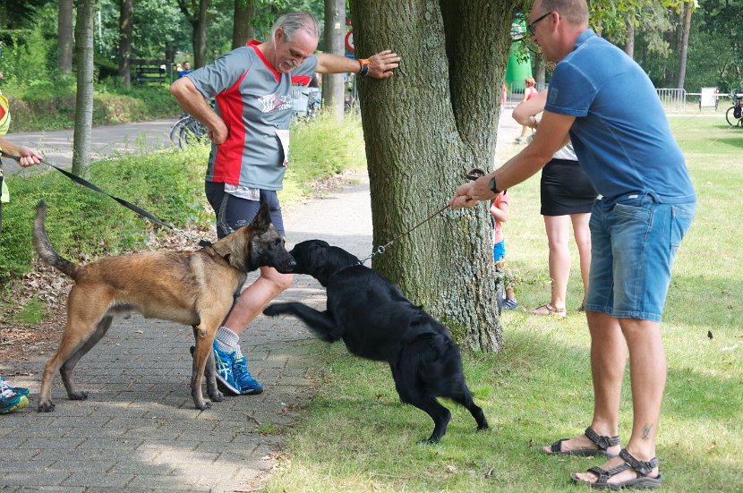 Sfeerbeelden 2014 - 034